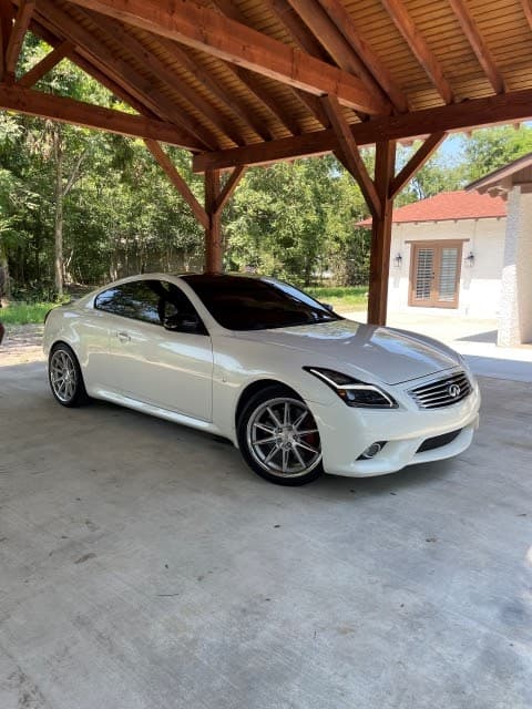 Premier Tint & Coatings LLC featured