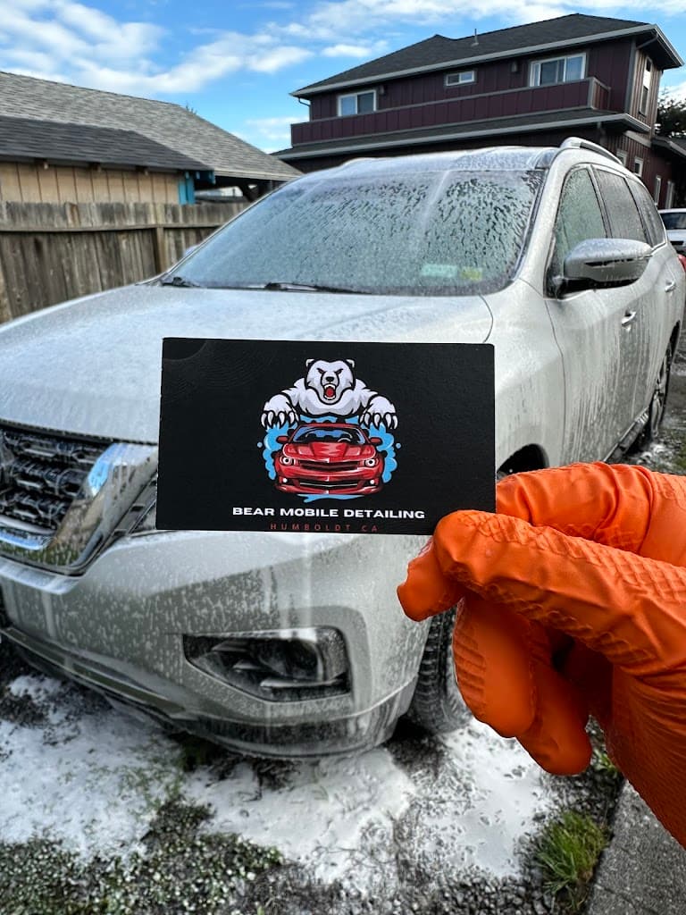 Bear Mobile Detailing featured
