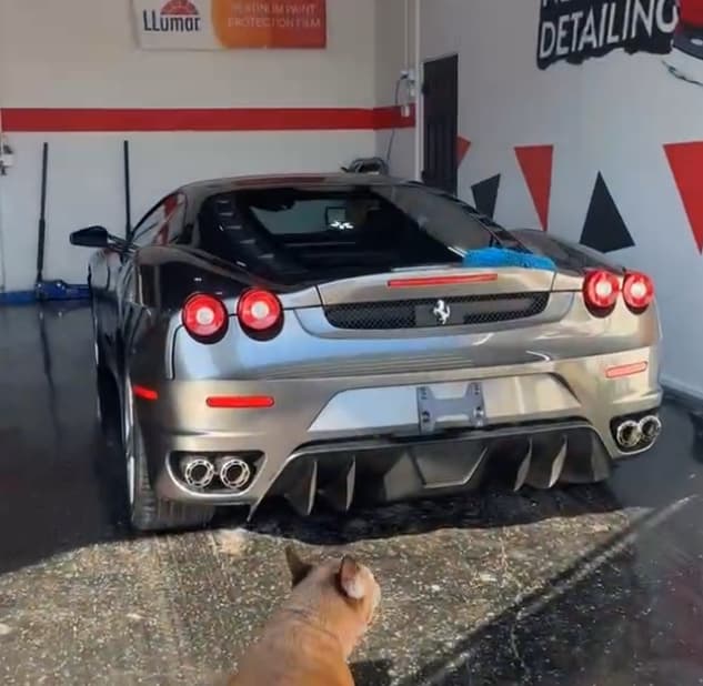 Next Level Auto Spa - Business Image
