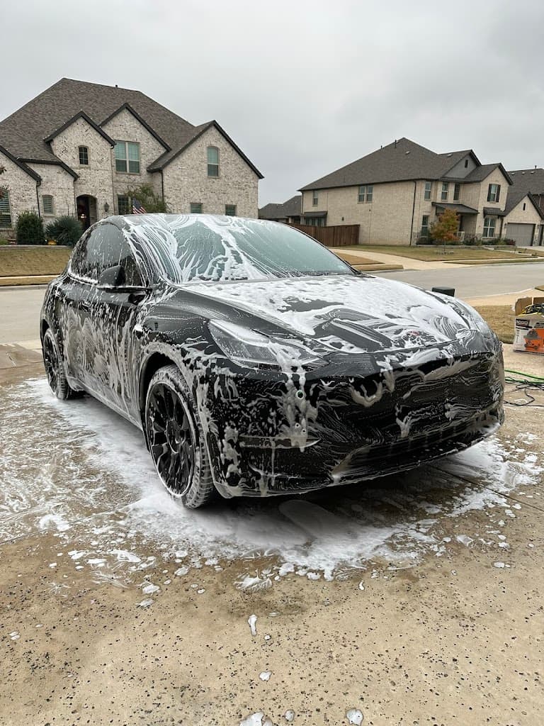 Auto Sharks featured