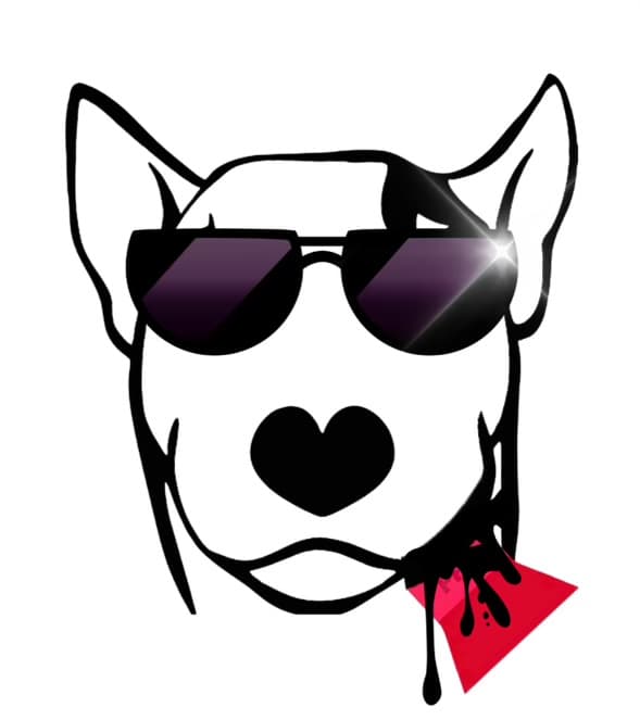 Terrier Garage (Powered by Final Touch) Inc. featured