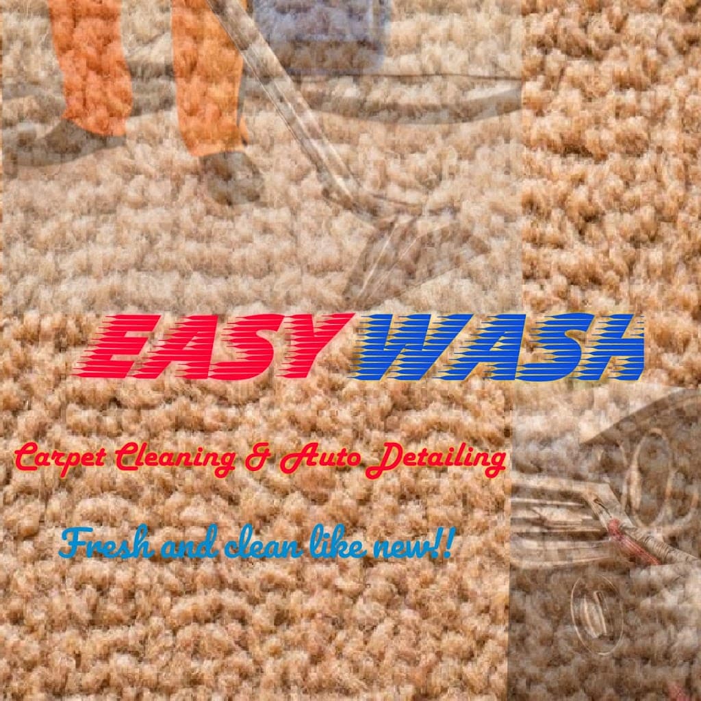 EASYWASH Auto Detail & Carpet Steamer/Extractor MOBILE - Business Image