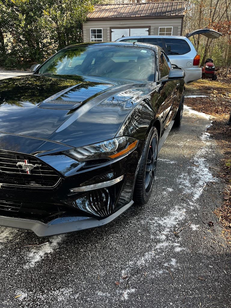 Swolfie's Mobile Detailing LLC featured