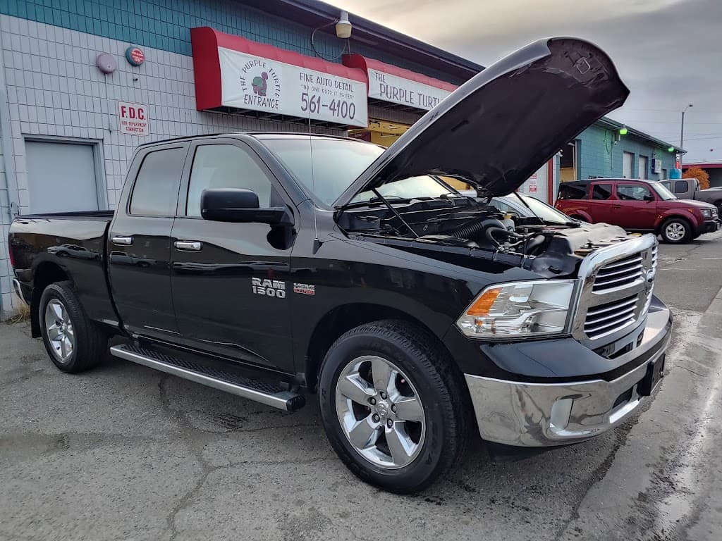 The Purple Turtle Fine Auto Detailing featured