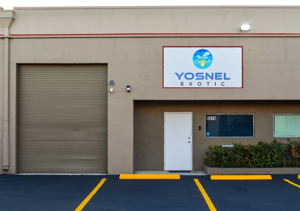 Yosnel Exotic Window Tinting, PPF, Car Wraps - Business Image