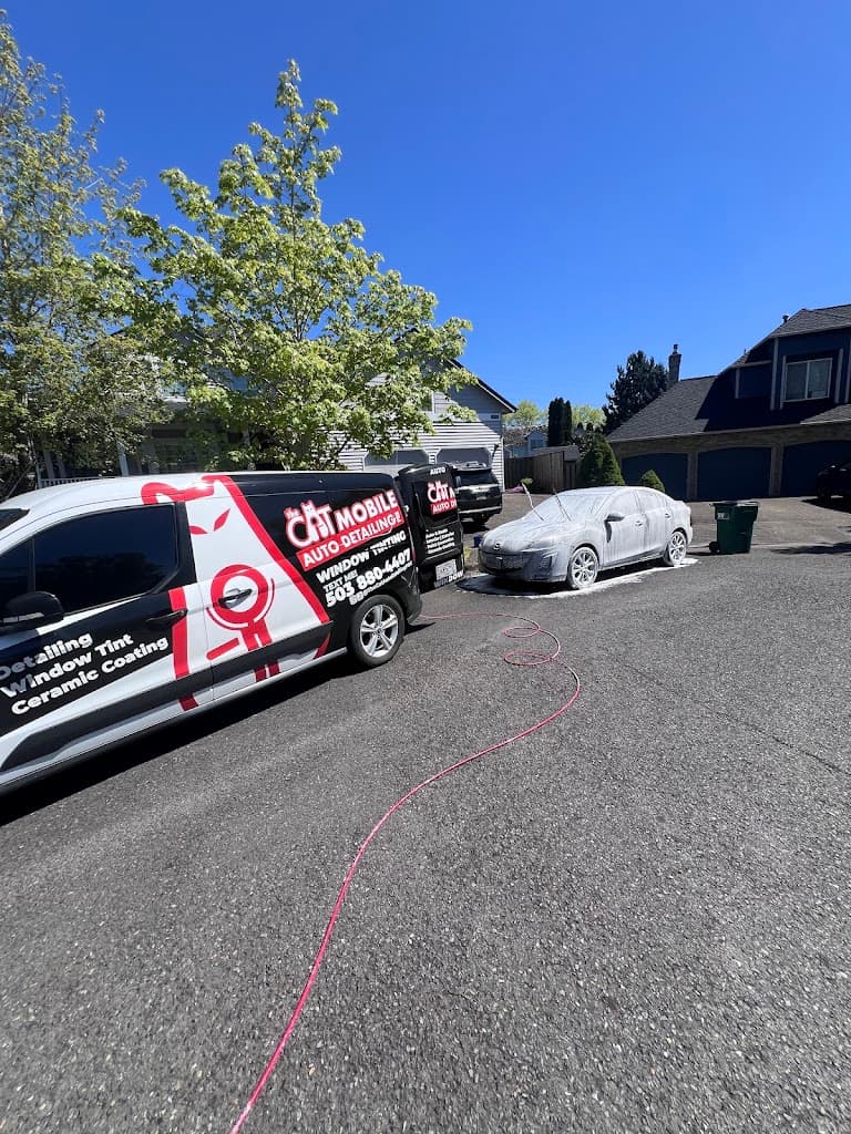 The Cat Auto Detailing pdx featured