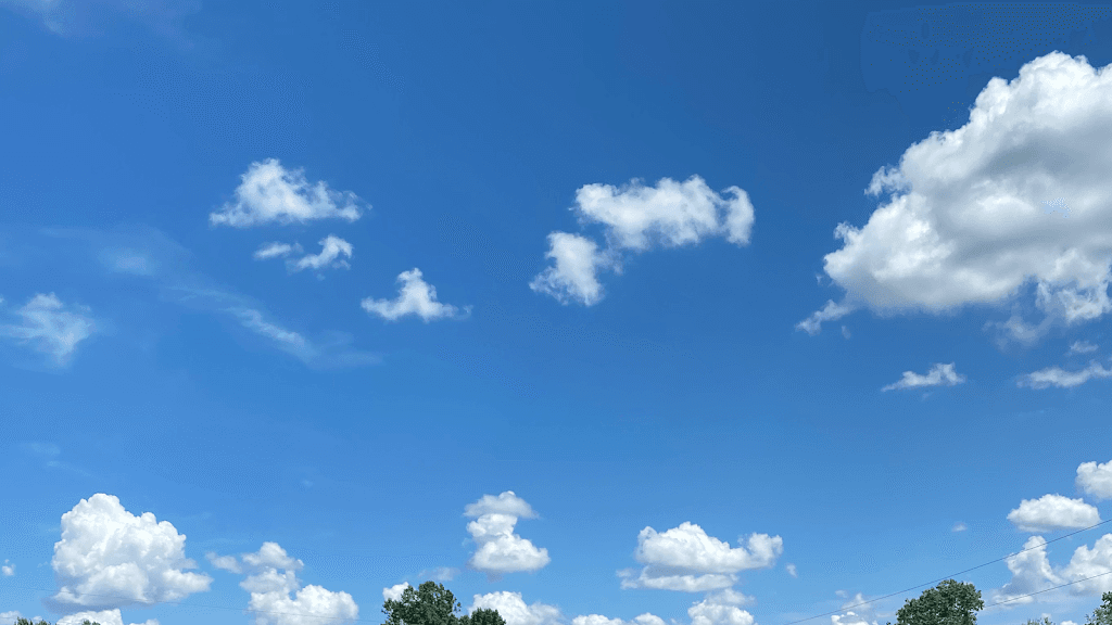 Holman Mobile Detailing featured