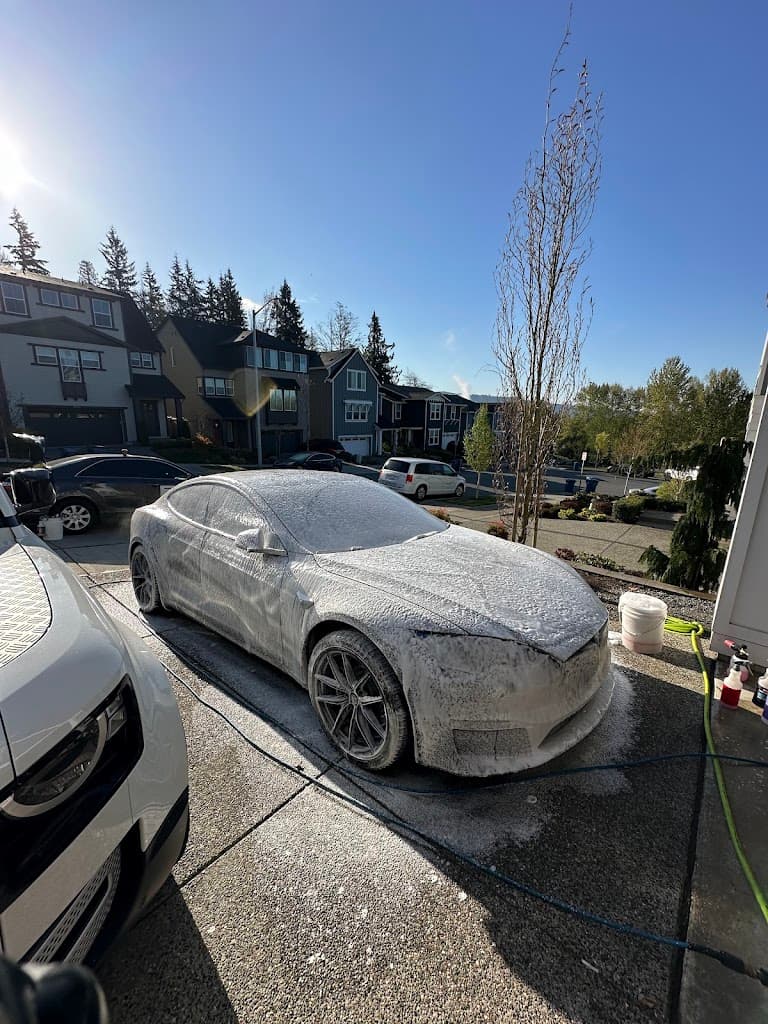 Alpine Auto Detail - Business Image