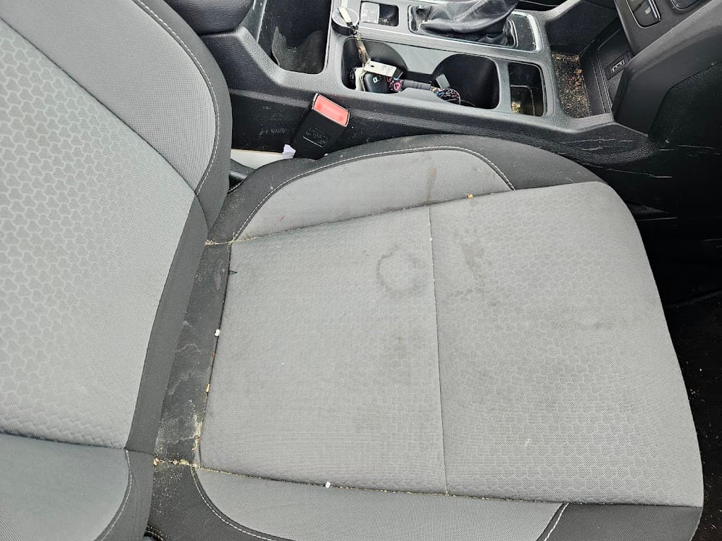 Dirt Magnet Auto Detailing LLC featured