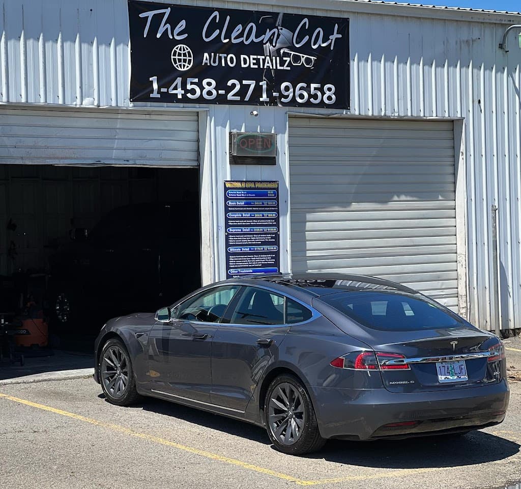 THE CLEAN CAT AUTO DETAILZ / WIRENUTZ SOLAR - Business Image