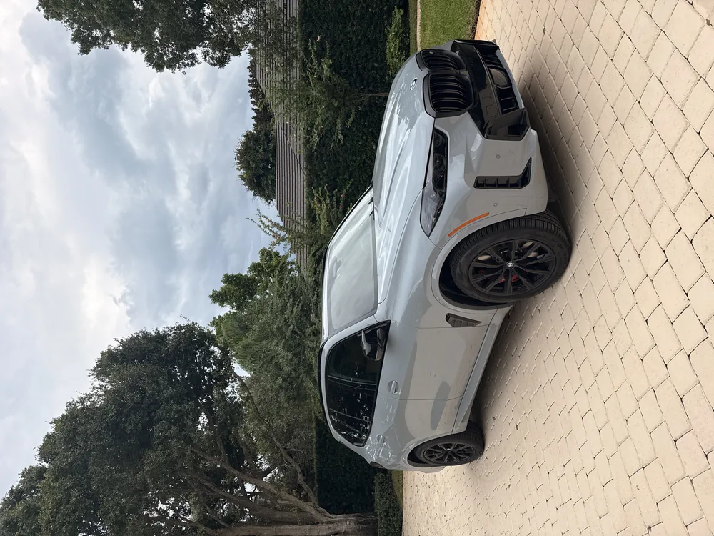 Detailing work by Professional Detailing Service West Palm Beach