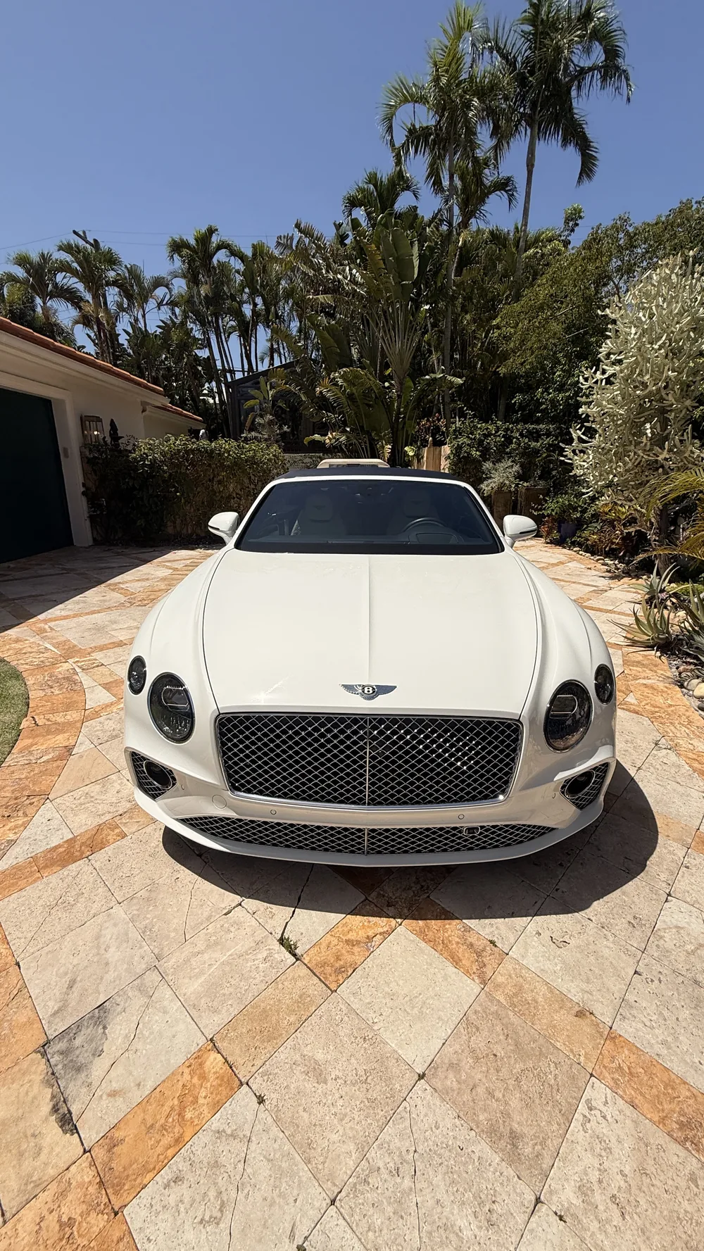 Detailing work by Professional Detailing Service West Palm Beach