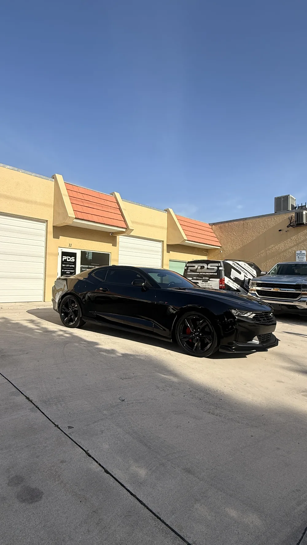 Detailing work by Professional Detailing Service West Palm Beach