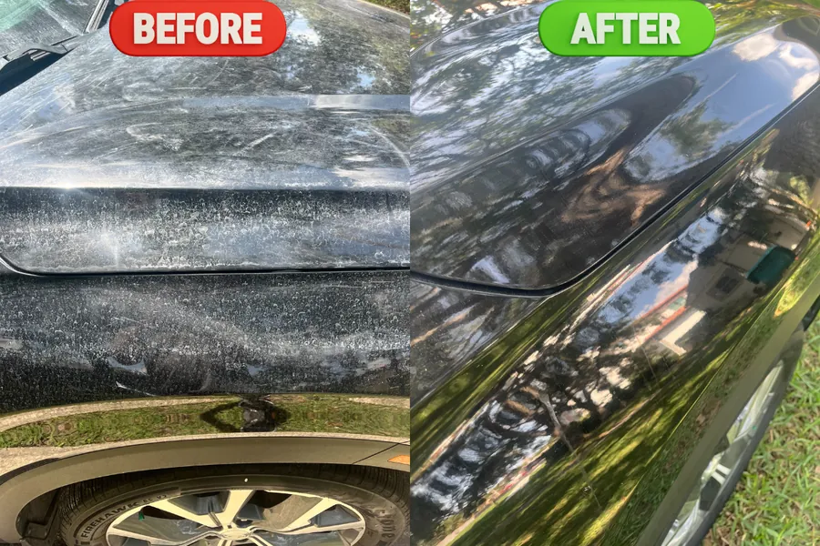 A Pampered Auto — car detailing in Clearwater
