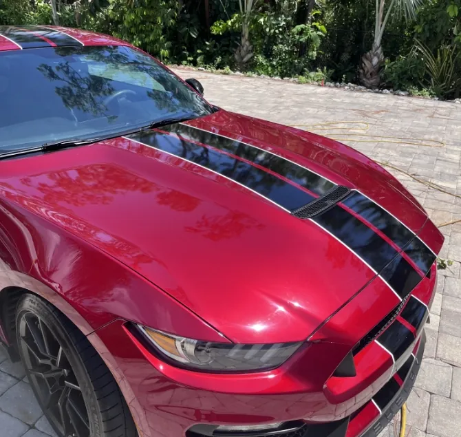 Car Therapy Naples — car detailing in Naples