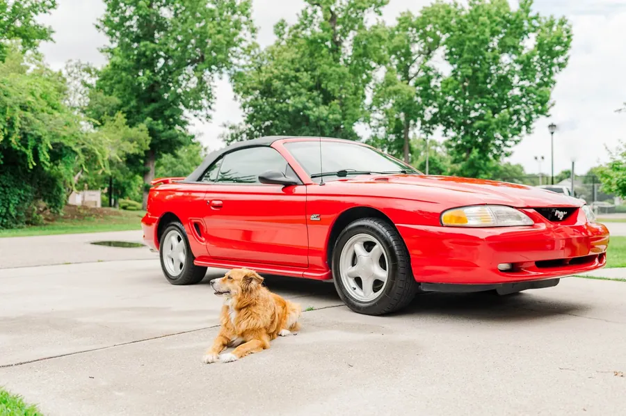 Martins Auto Spa — car detailing in Wilmington