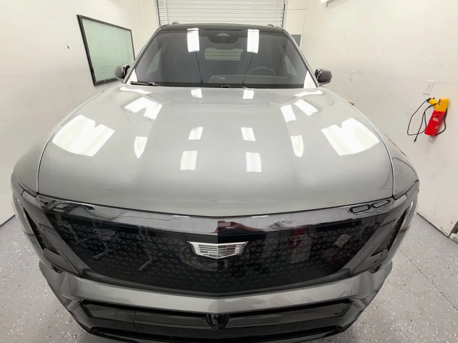 Most Excellent Auto Detailing — car detailing in Tampa