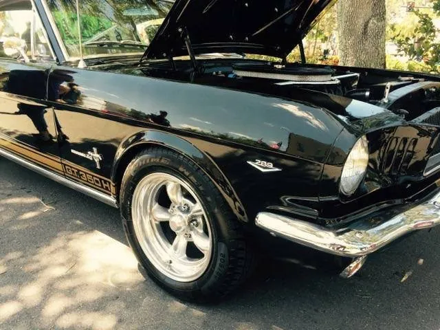 Ultimate Auto Spa — car detailing in Clearwater