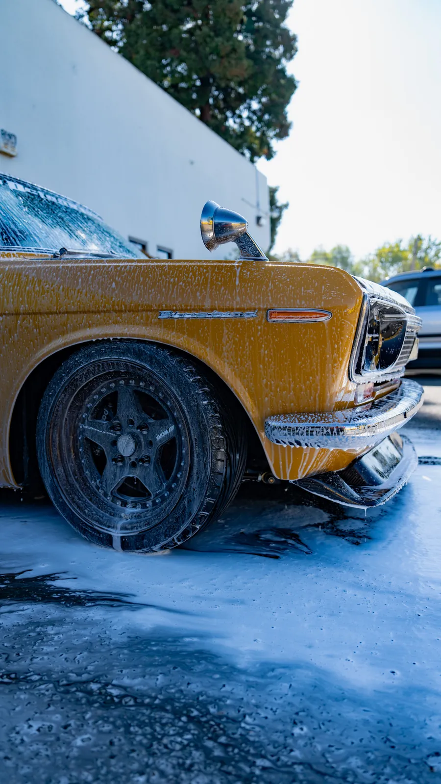Ultra Detailz — car detailing in Alum Rock